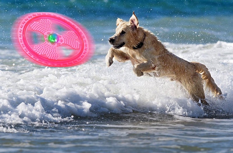 Wandrola Flying Disc Dog Sport Toy with Flashing LED Lights, Light Up Pet Disk for Ultimate Night Time Play, Pink - Image 4